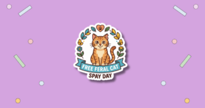 Free Feral Cat Spay Day