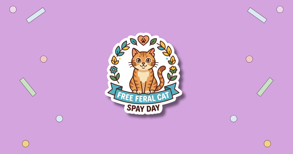 Free Feral Cat Spay Day