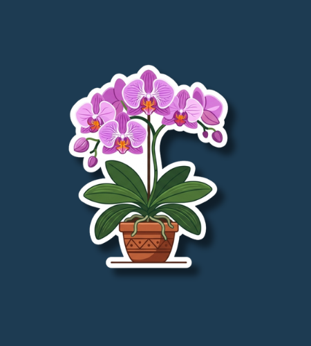 National Orchid Day