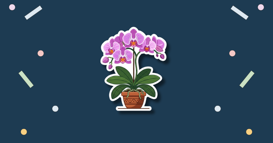 National Orchid Day