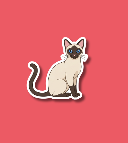National Siamese Cat Day