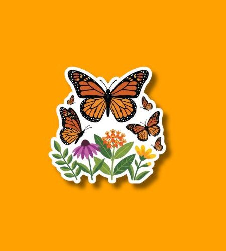 National Start Seeing Monarchs Day