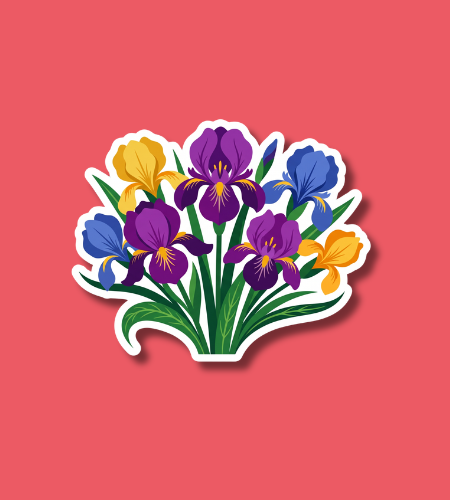 Iris Day