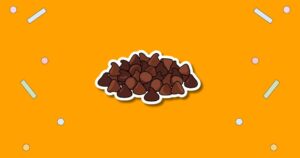 National Chocolate Chip Day