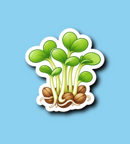 National Sprout Day