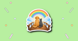 Rainbow Bridge Remembrance Day
