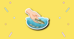 Fish Amnesty Day