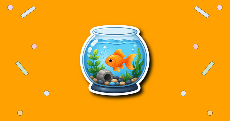 Fish Tank Floorshow Night