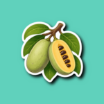 National Pawpaw Day